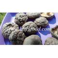 Seta de shiitake lisa secada con buen precio